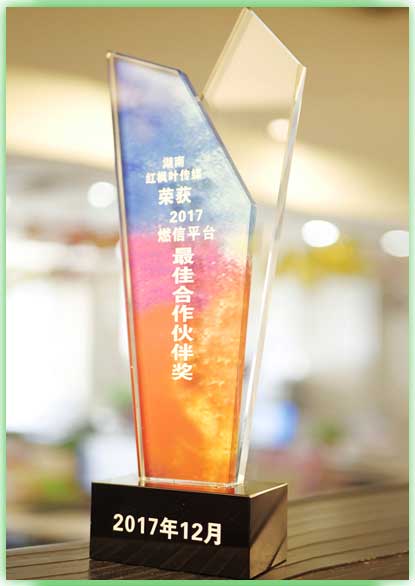 最佳合作伙伴奖 (4).JPG